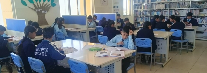 Library